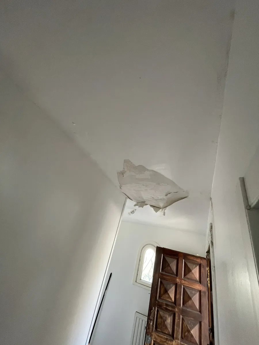 Plafond d'entrée de logement à Montpellier dont la peinture se décolle en large plaque, relevé lors d'une visite avant travaux